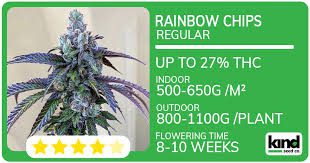 Exploring the Journey of Marijuana Seeds Louisiana Exploring the Journey of Marijuana Seeds Louisiana
